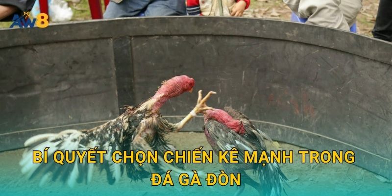 Bí quyết chọn chiến kê mạnh trong đá gà đòn