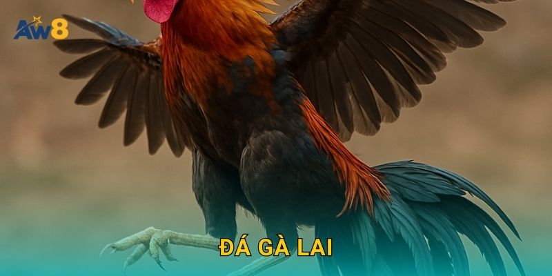 Đá gà lai – Sự kết hợp sức mạnh và tốc độ tại Aw8 10 Đá gà lai – Sự kết hợp sức mạnh và tốc độ tại Aw8