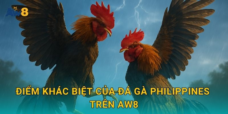 đá gà Philippines: Nguồn gốc danh tiếng – Lợi thế tại Aw8 3 Điểm khác biệt của đá gà Philippines trên Aw8